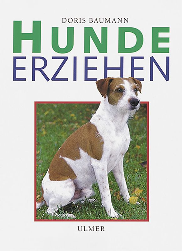 Hunde erziehen