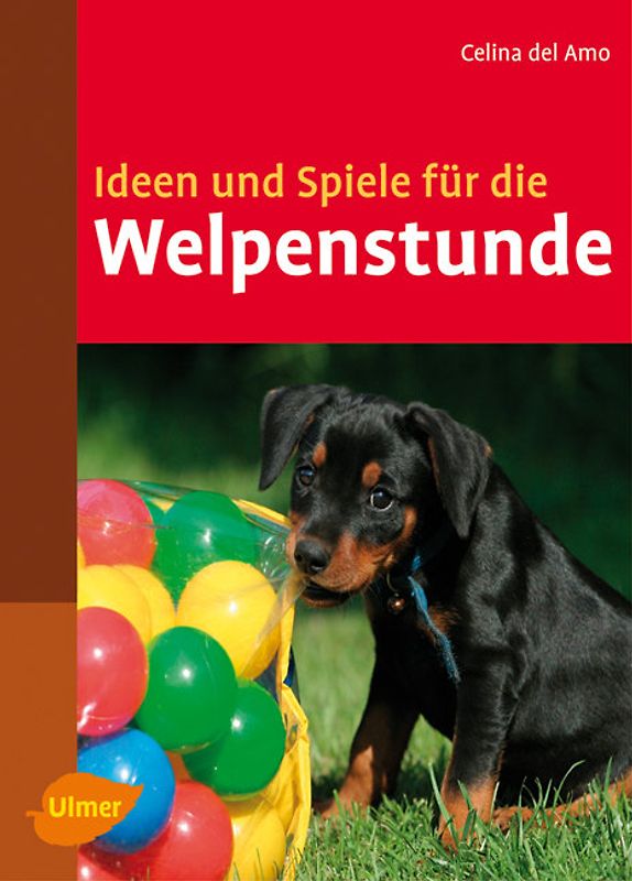 Ideen und Spiele für die Welpenstunde