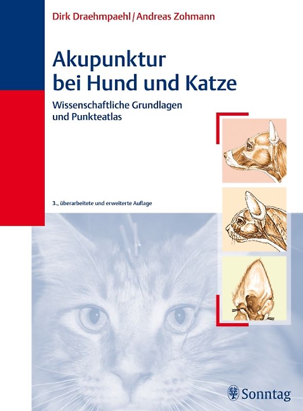 Akupunktur bei Hund und Katze