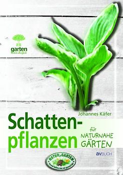 Schattenpflanzen