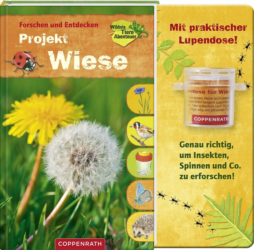 Forschen und Entdecken: Projekt Wiese