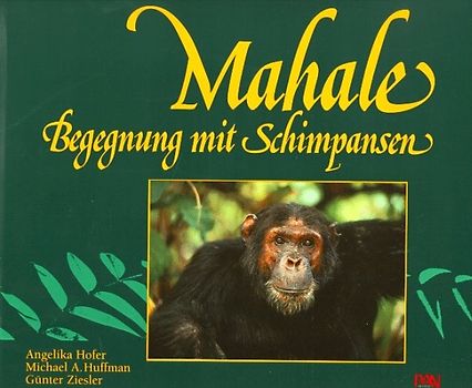 Mahale. Begegnung mit Schimpansen