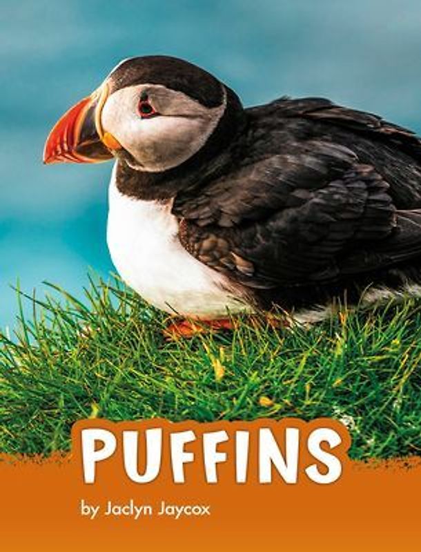 Puffins