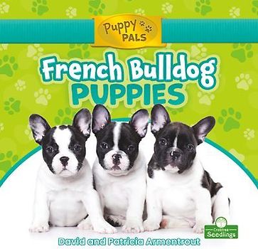 French Bulldog Puppies