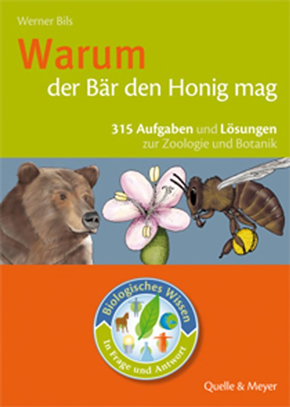 Warum der Bär den Honig mag