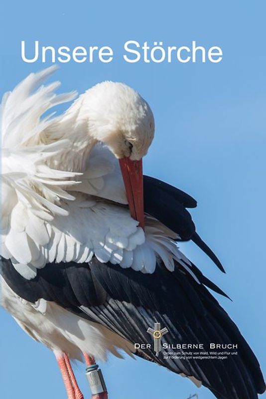 Unsere Störche