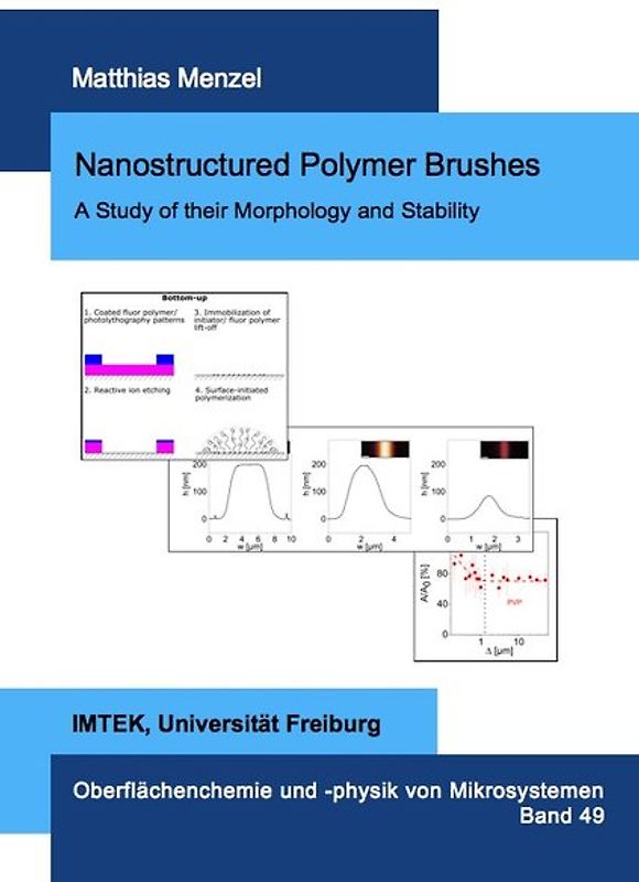Nanostructured Polymer Brushes - A Study of their Morphology and Stability