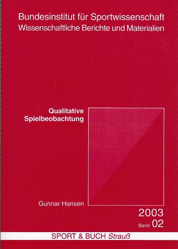 Qualitative Spielbeobachtung