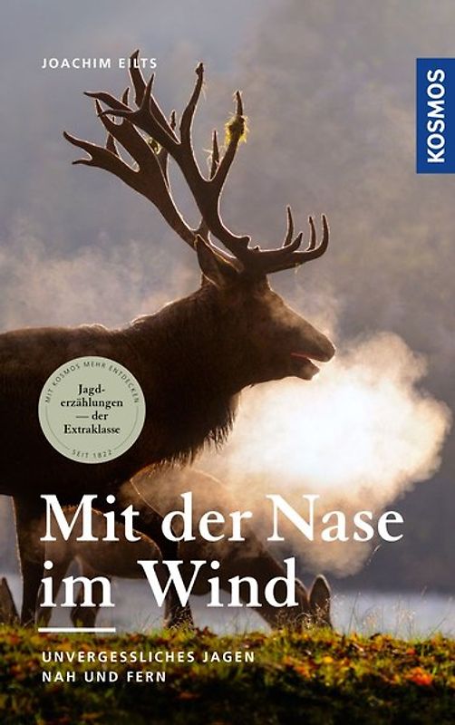 Mit der Nase im Wind