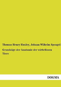 Grundzüge der Anatomie der wirbellosen Tiere