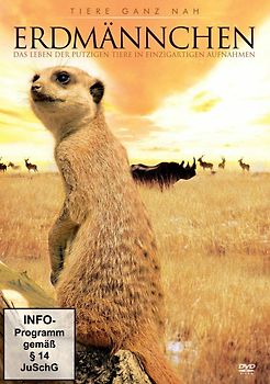 Erdmännchen DVD