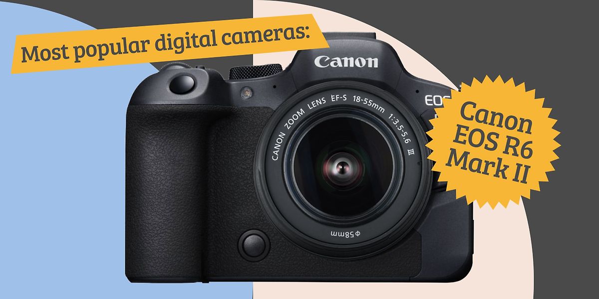 Popular cameras