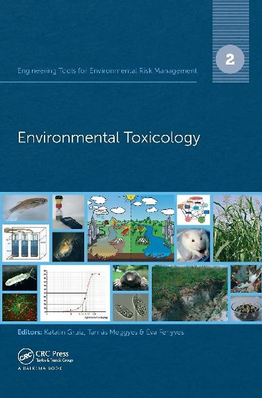 Engineering Tools for Environmental Risk Management