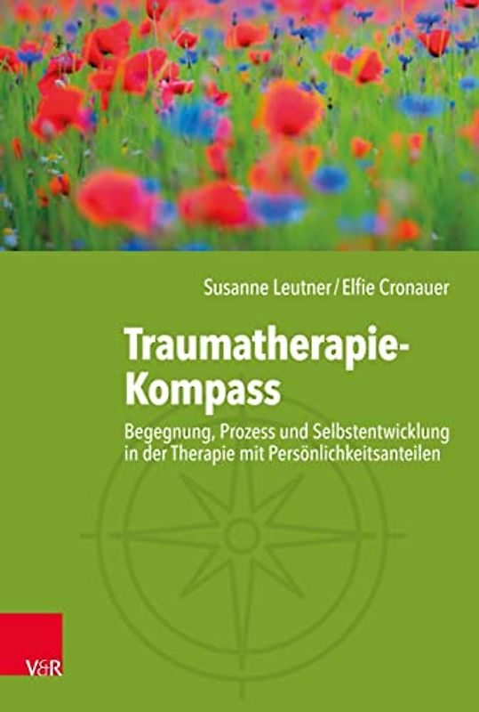 Traumatherapie-Kompass
