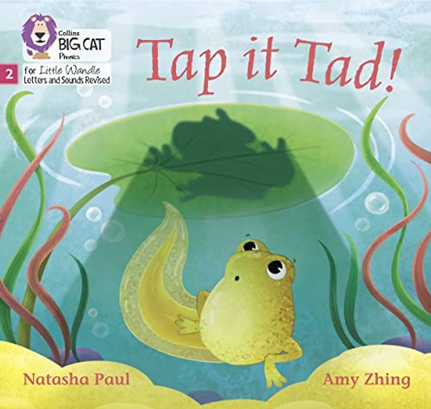 Big Cat Phonics for Little Wandle Letters and Sounds Revised - Tap It Tad!