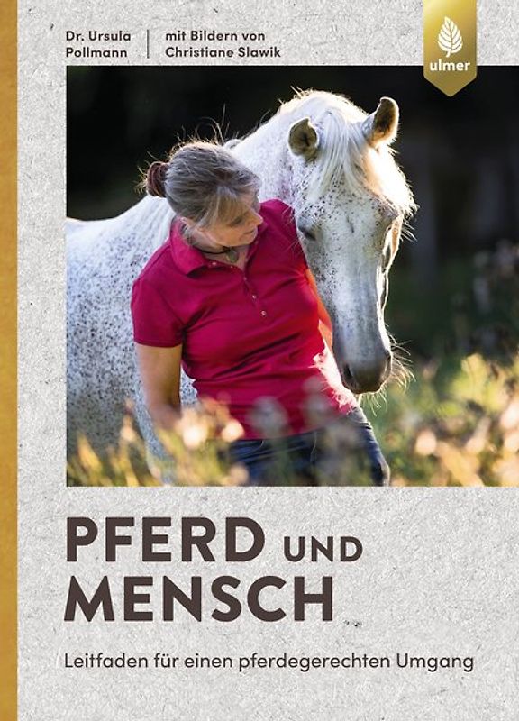 Pferd und Mensch