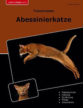Traumrasse Abessinierkatze