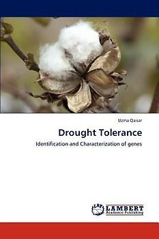 Drought Tolerance
