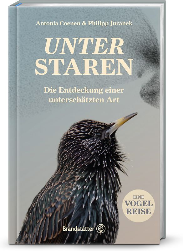 Unter Staren