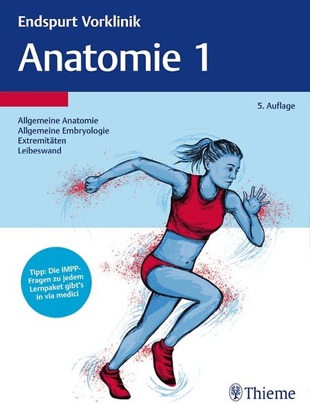 Endspurt Vorklinik: Anatomie 1