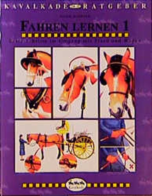 Fahren lernen. Erste Schritte im Umgang mit Pferd und Wagen