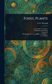 Fossil Plants
