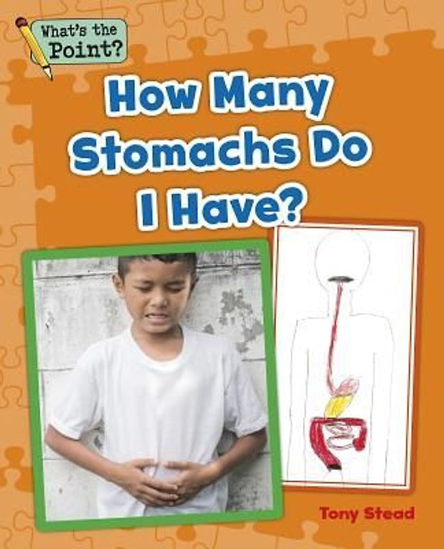 How Many Stomachs Do I Have?