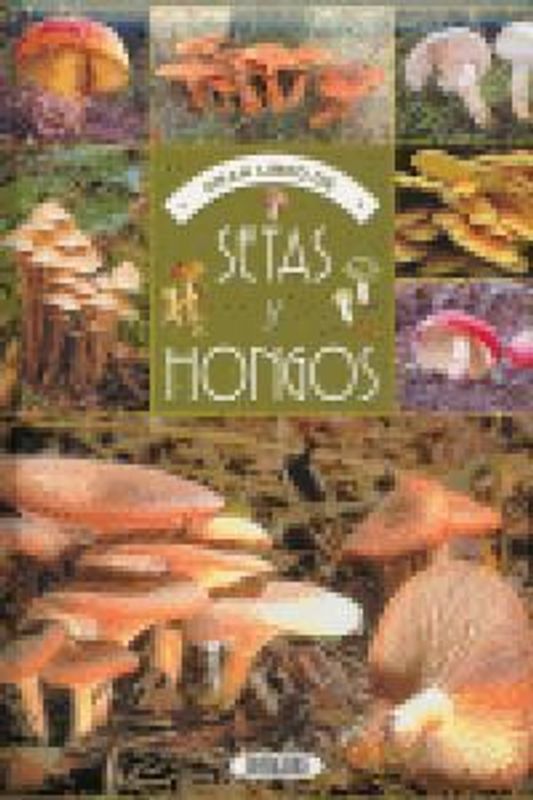 SETAS Y HONGOS