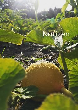 Notizen