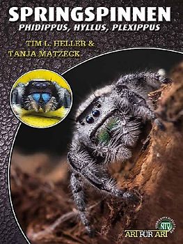 Springspinnen