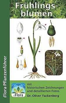 Frühlingsblumen (iFlora Pflanzenführer, Band 2)