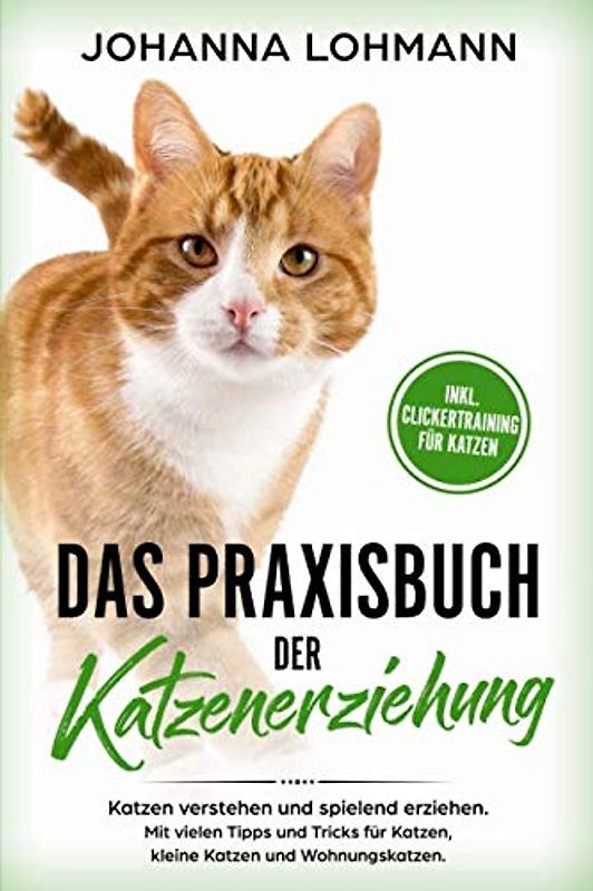 Das Praxisbuch der Katzenerziehung: Katzen verstehen und spielend erziehen. Mit vielen Tipps und Tricks für Katzen, kleine Katzen und Wohnungskatzen.