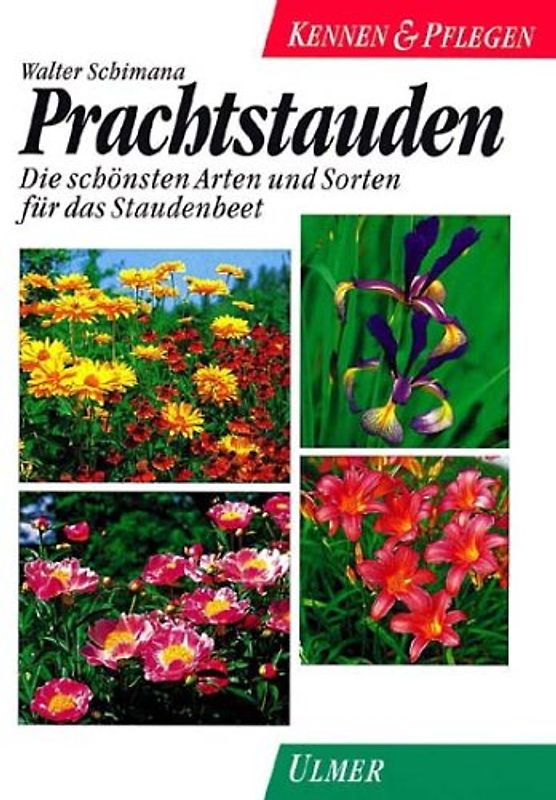 Prachtstauden. Die besten Arten und Sorten für das Staudenbeet