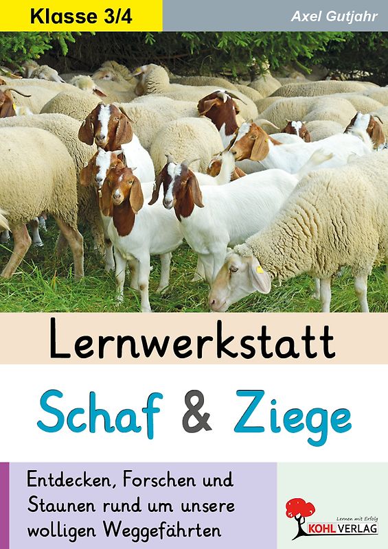 Lernwerkstatt Schaf und Ziege