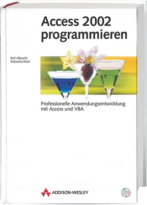 Access 2002 programmieren