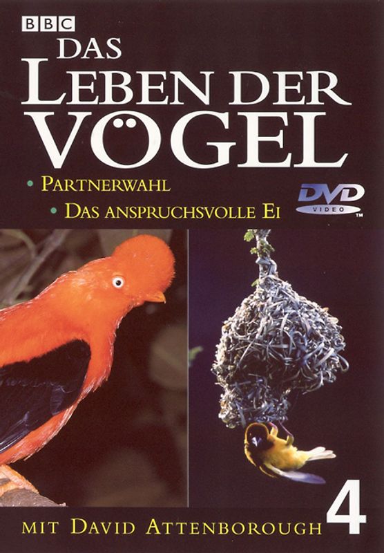 Das Leben der Vögel - Teil 4 DVD