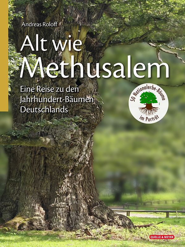 Alt wie Methusalem – Eine Reise zu den Jahrhundert-Bäumen Deutschlands