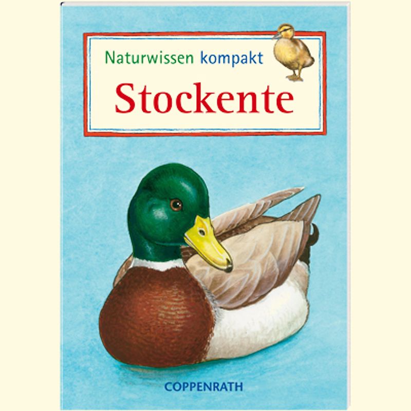 Naturwissen kompakt: Stockente