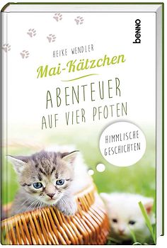 Mai-Kätzchen – Abenteuer auf vier Pfoten