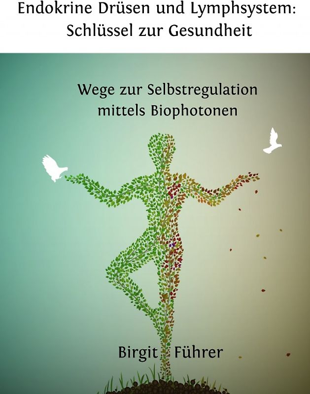 Endokrine Drüsen und Lymphsystem: Schlüssel zur Gesundheit