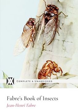 Fabre's Book of Insects: With 12 Original Illustrations by E. J. Detmold