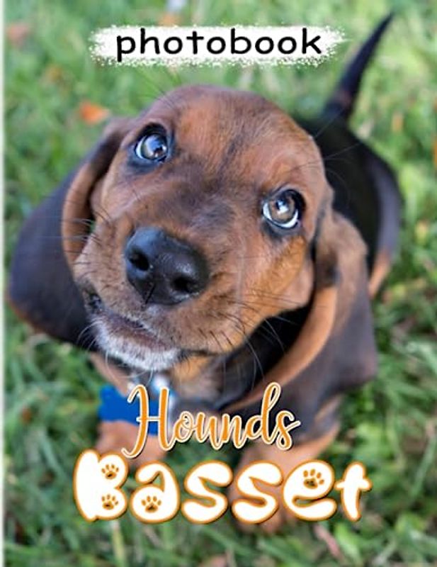 Basset Hounds Photobook: Short-Legged Breed of Dog Poster for Decor as Gifts | Back to School with 40+ Pages High Quality Pictures to Anyone to Love