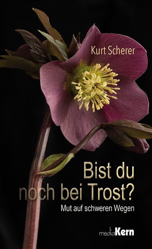 Bist du noch bei Trost?