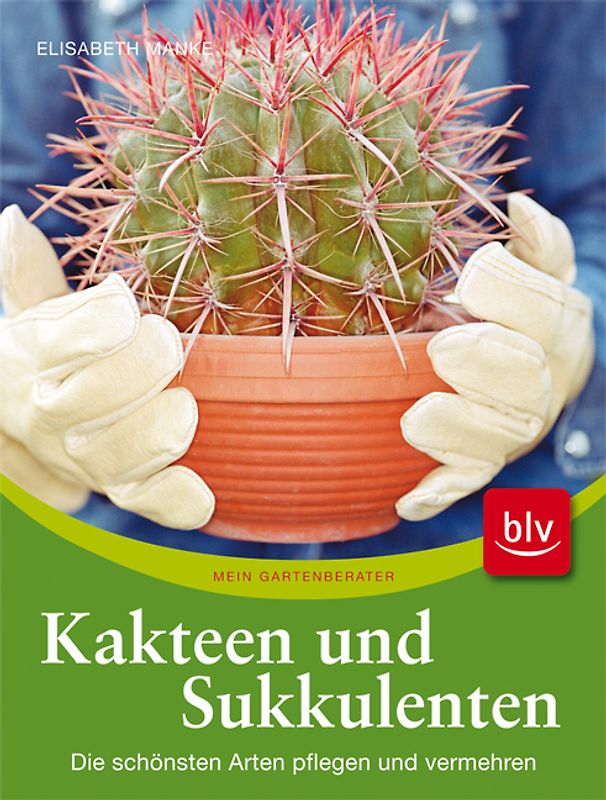 Kakteen und Sukkulenten