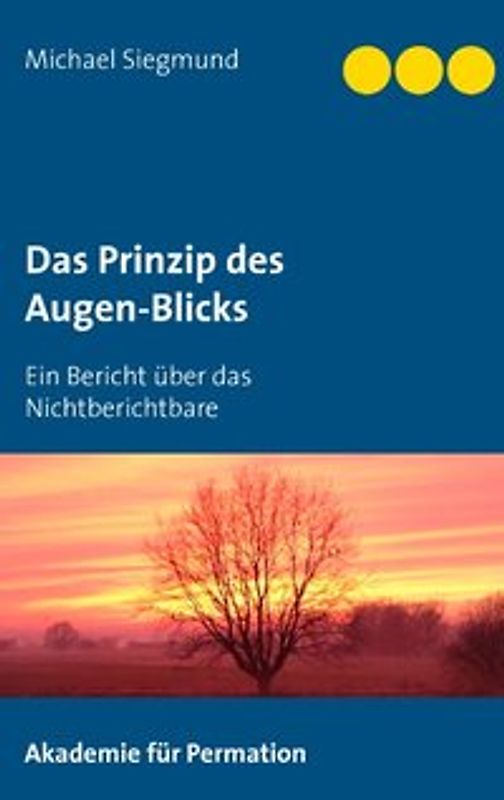 Das Prinzip des Augen-Blicks. Ein Bericht über das Nichtberichtbare