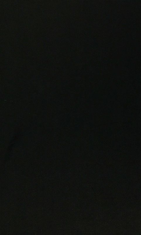 The Spanish Economy in the New Europe