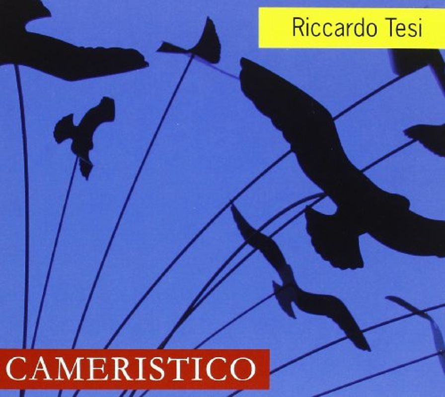 Riccardo Tesi - Cameristico