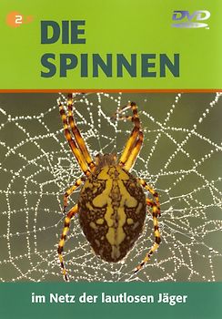 Die Spinnen - Im Netz der lautlosen Jäger DVD