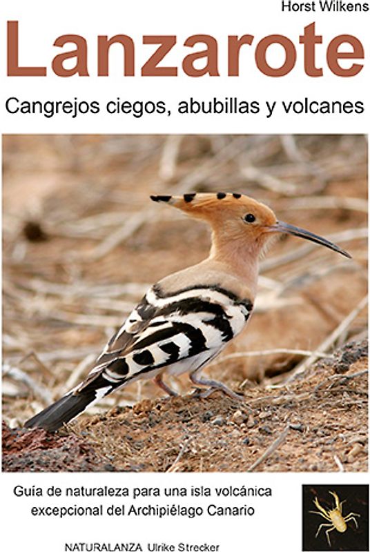 Lanzarote - Cangrejos ciegos, abubillas y volcanes