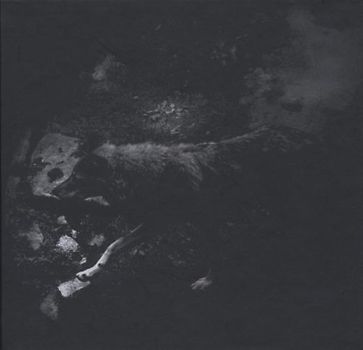 October Falls - The Womb of Primordial Nature